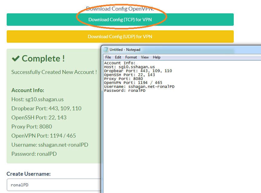 Конфиг openvpn keenetic. Конфиг openvpn keenetic