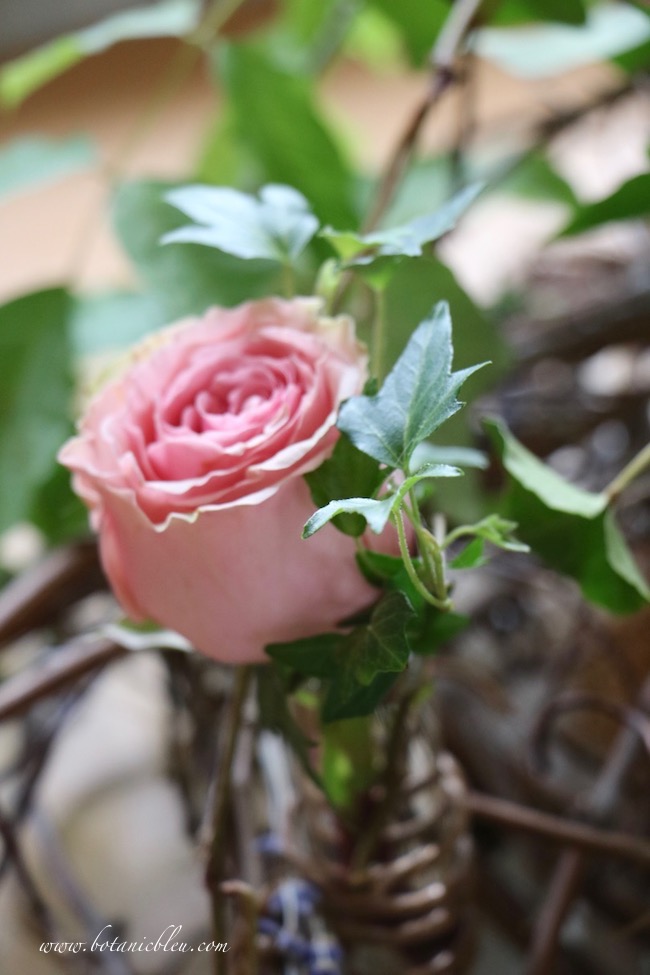 Spring celebration grapevine bird nest centerpiece with fresh roses