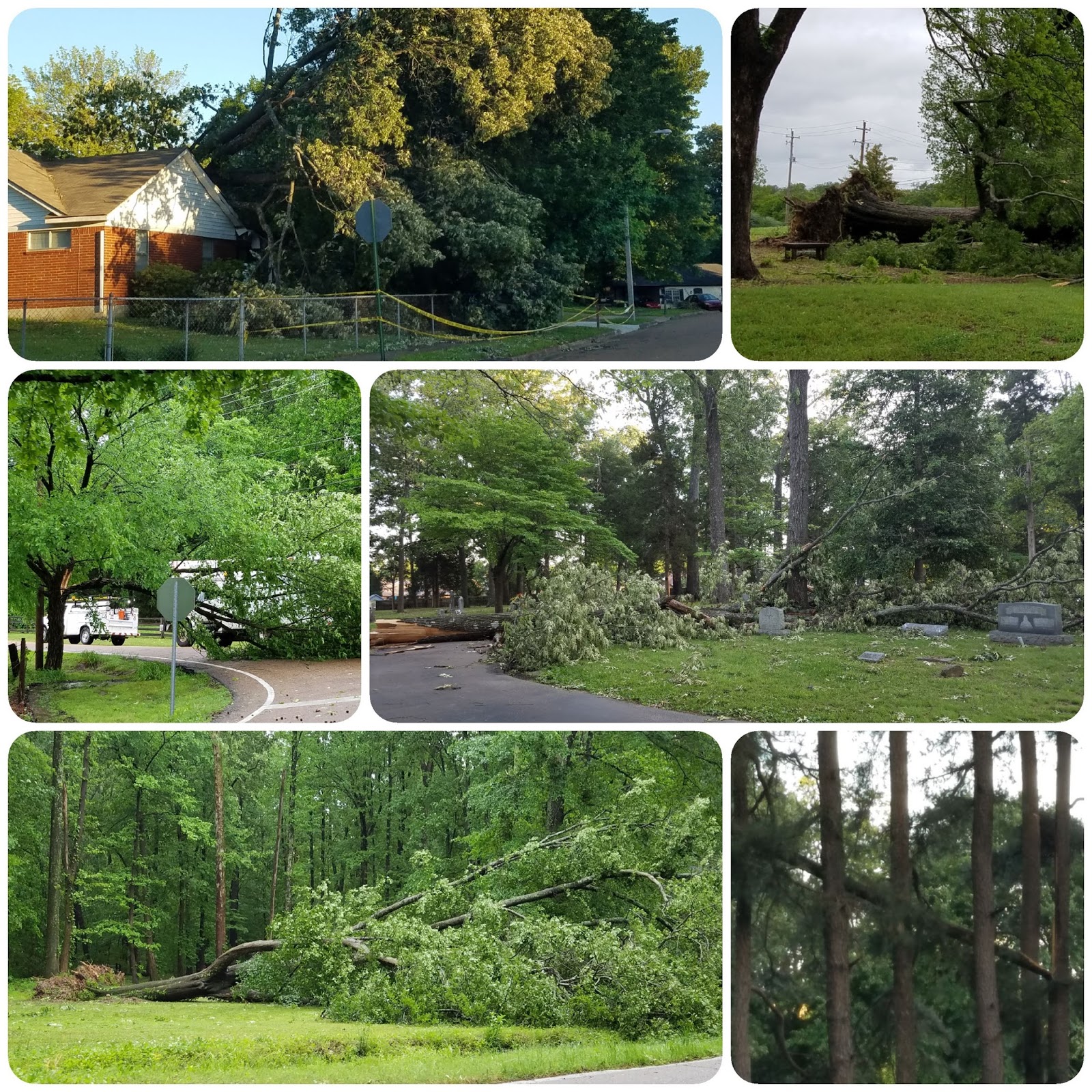 MWN Blog Storm recap wind damage in Bartlett, TN Sunday morning (4/30