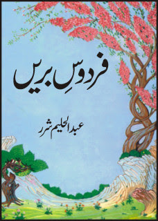 Firdous_e_Breen Urdu Novel 