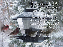 cares birds god friday inspiration he creativity faith