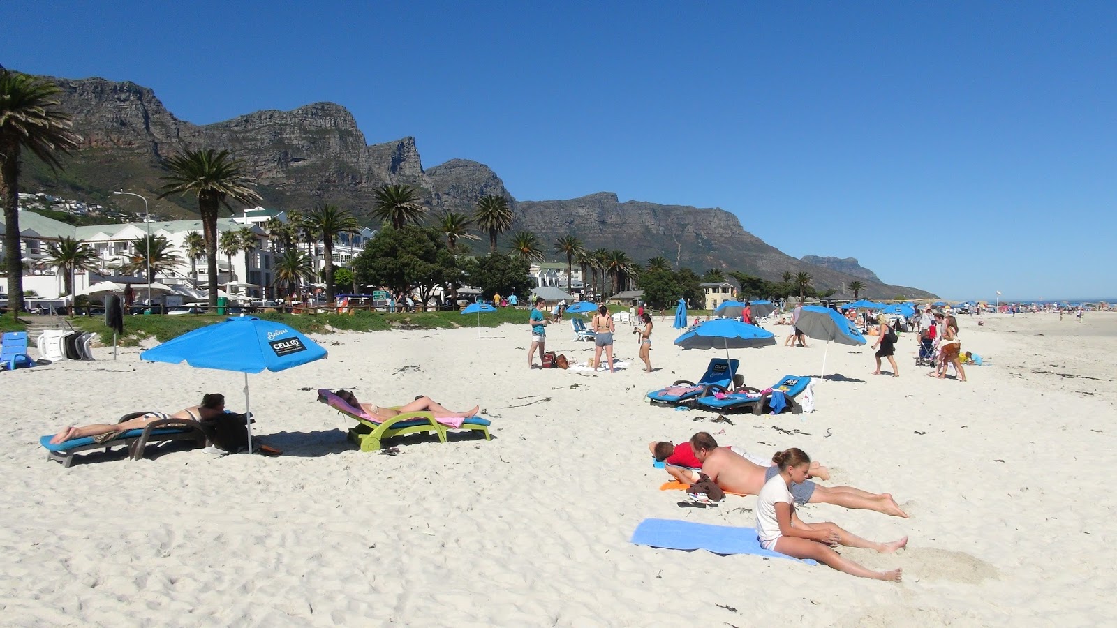 Cape Town's Beaches Travelort