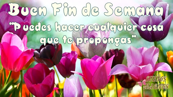 Afbeeldingsresultaat voor buen fin de semana frases