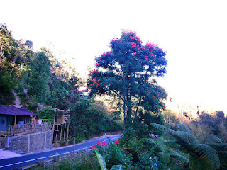 Natural Scenery Of The Village In The Morning Sun At Munduk Village, Buleleng, Bali, Indonesia