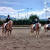 What it feels like to be rewarded - 4th best 6-year old Haflinger in Austria in 2013!