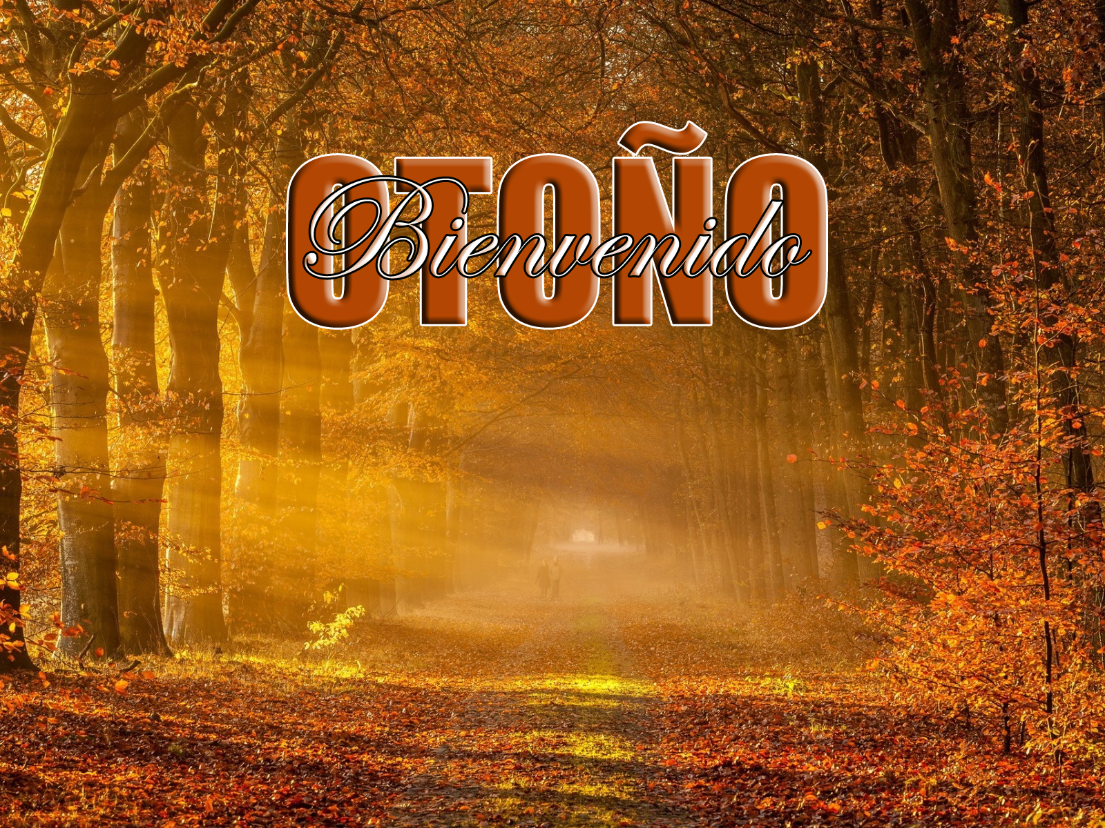 Banco de Imágenes Gratis: Bienvenido Otoño - Postales con Mensajes y