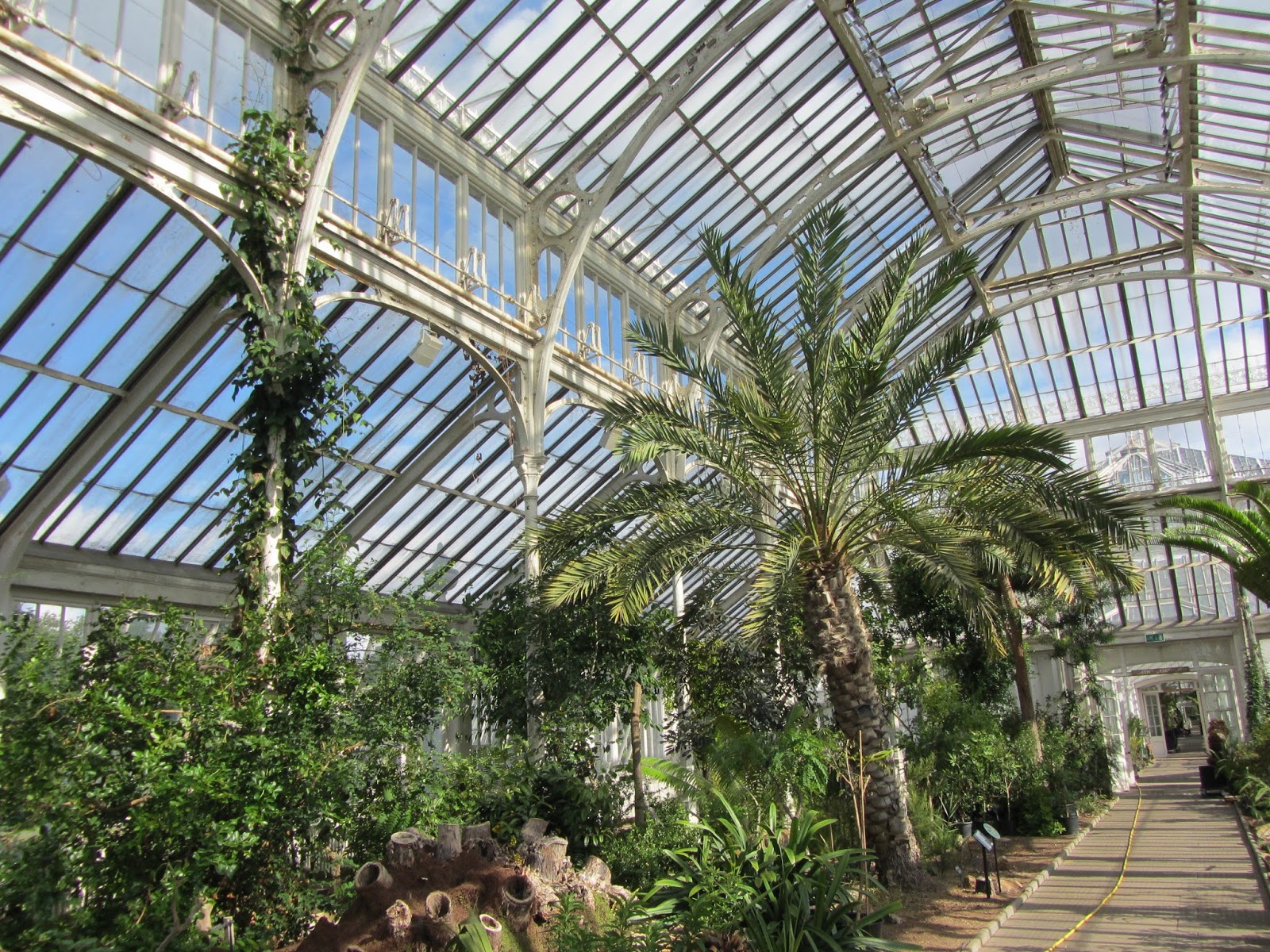 Ham Life: A last look at the Temperate House in Kew Gardens