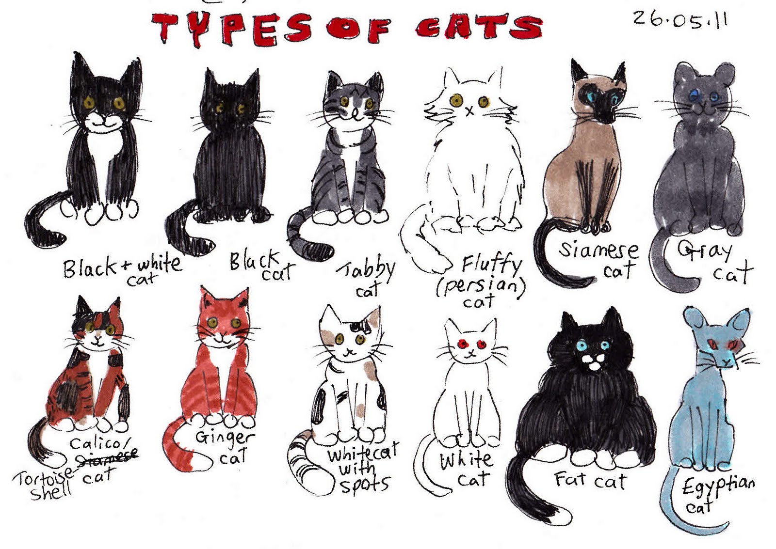 List Of Cats Breeds Cat Lover Cat Training