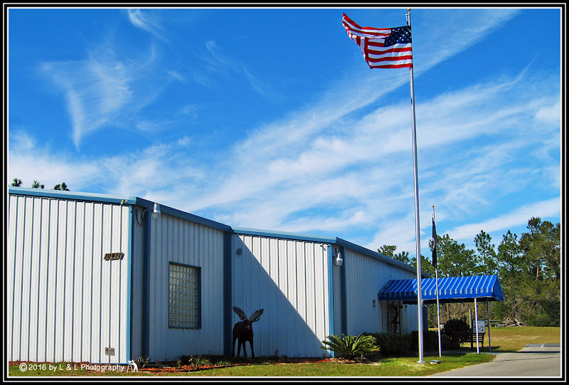 Ocala, Central Florida & Beyond Moose Lodge