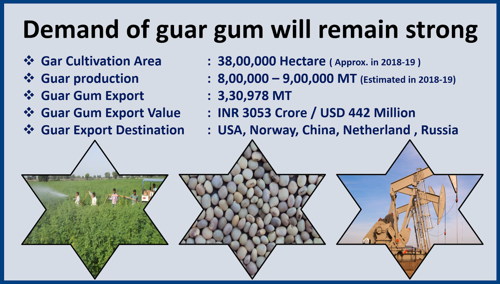 GUAR GUM INFORMATION AND GUAR GUM CULTIVATION IN INDIA Guar gum demand