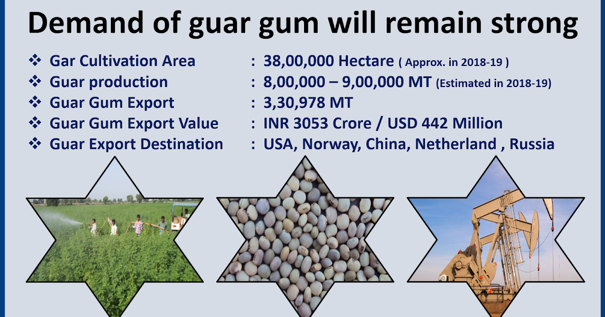 GUAR GUM INFORMATION AND GUAR GUM CULTIVATION IN INDIA Guar gum demand