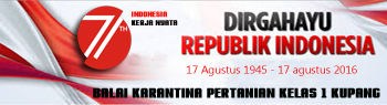 DIRGAHAYU RI