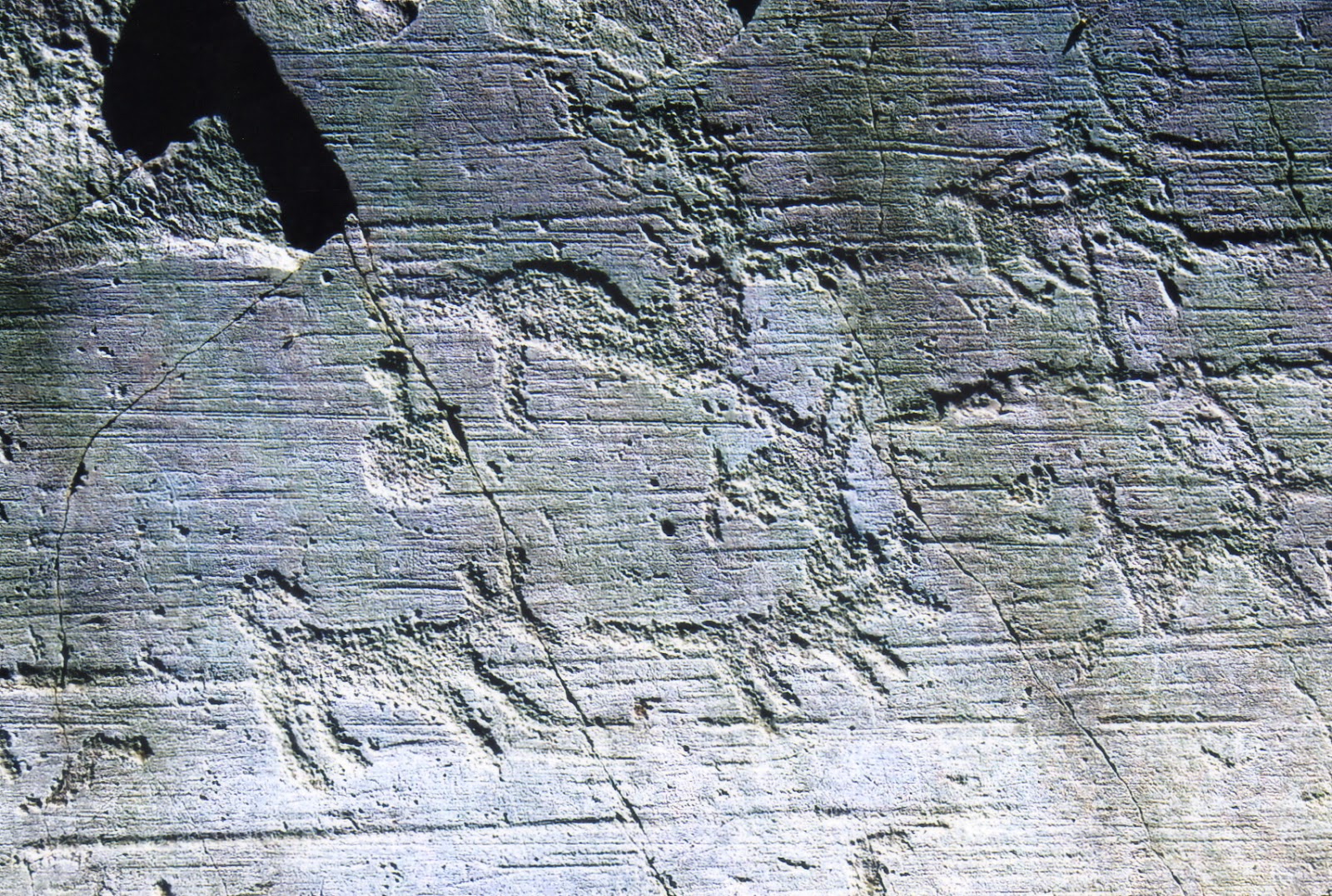 Incisioni rupestri della Val Camonica (Italia) Rock carvings of Val