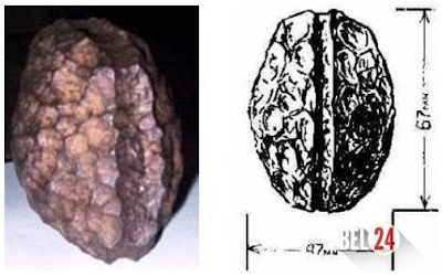 [Image: Ferro%2Bde%2BWolfsegg.png]