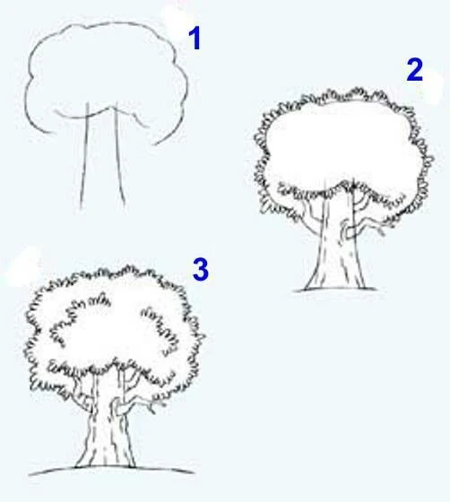 كيفية رسم شجرة بالقلم الرصاص خطوة بخطوة