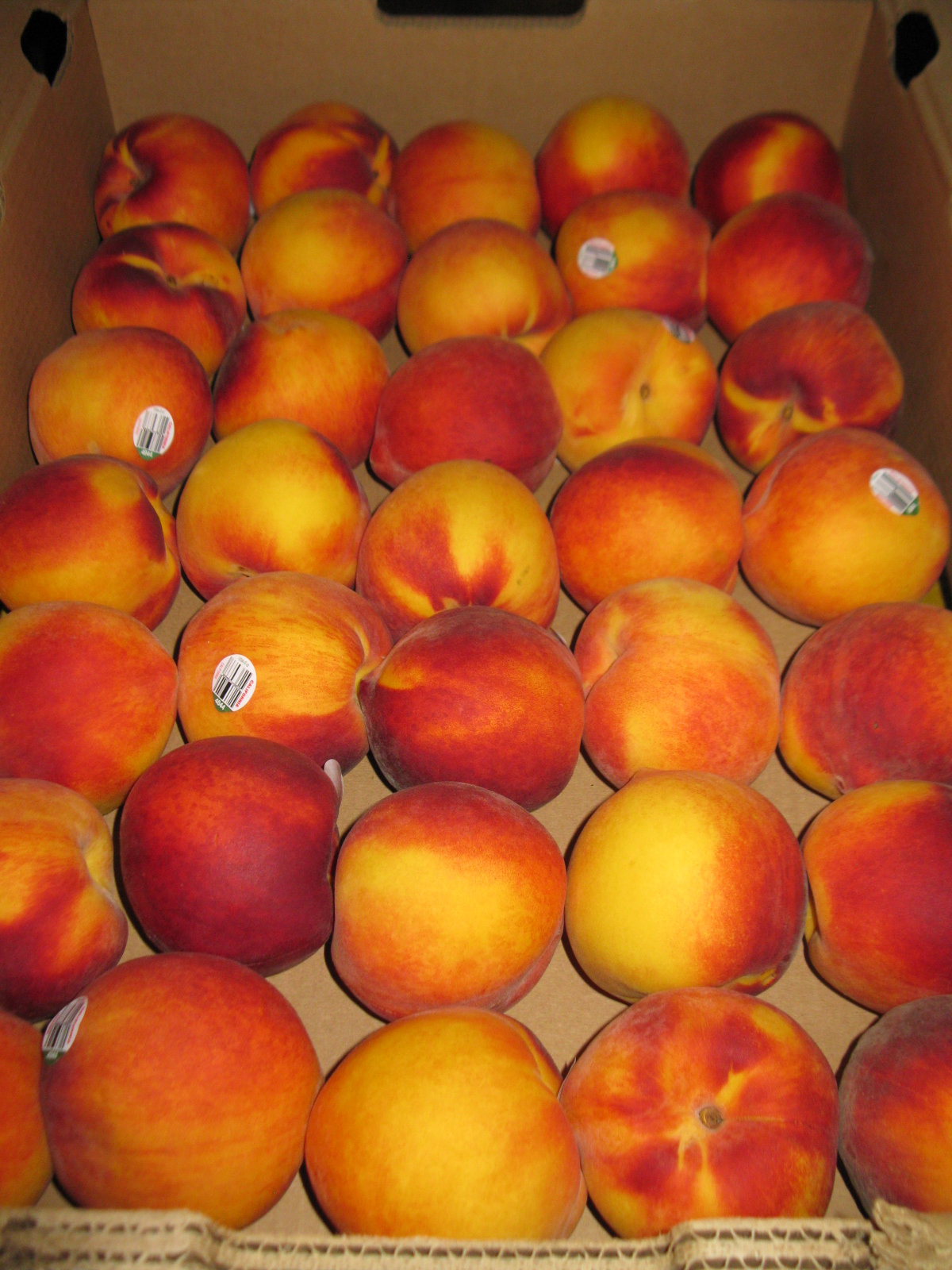 Simply Homemaking Canning clingstone peaches without sugar... Whew!