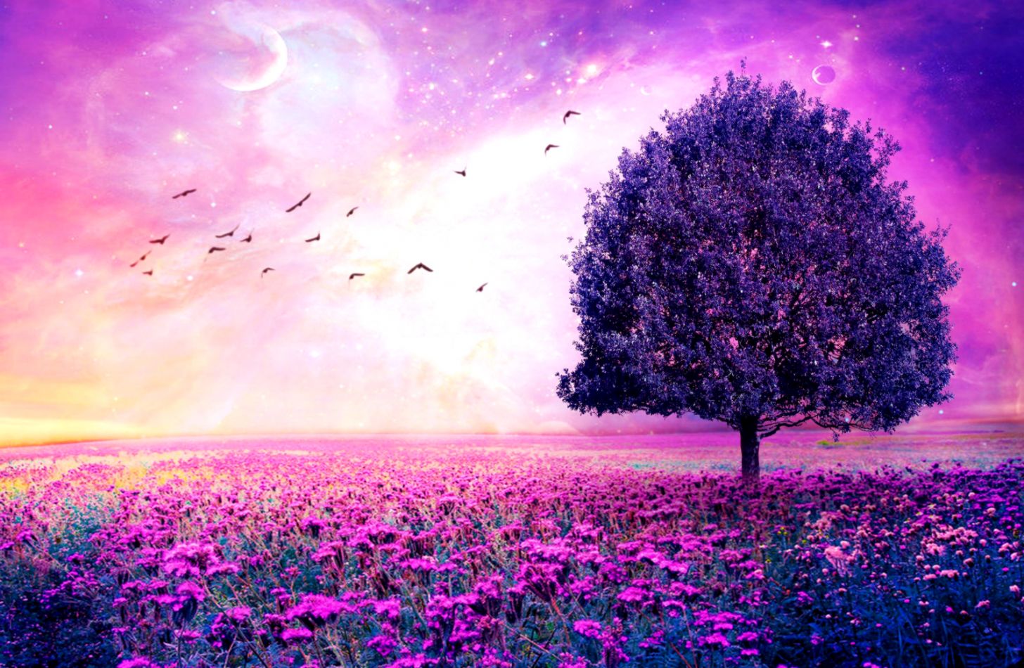 Best Beautiful Wallpapers | Mega Wallpapers