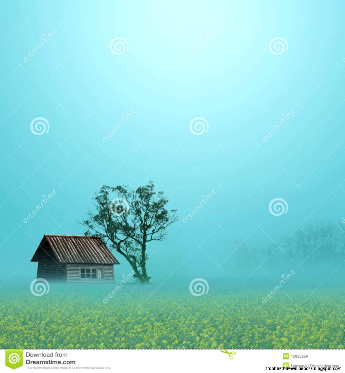 Rural Scenery Royalty Free Stock Images   Image 15955289