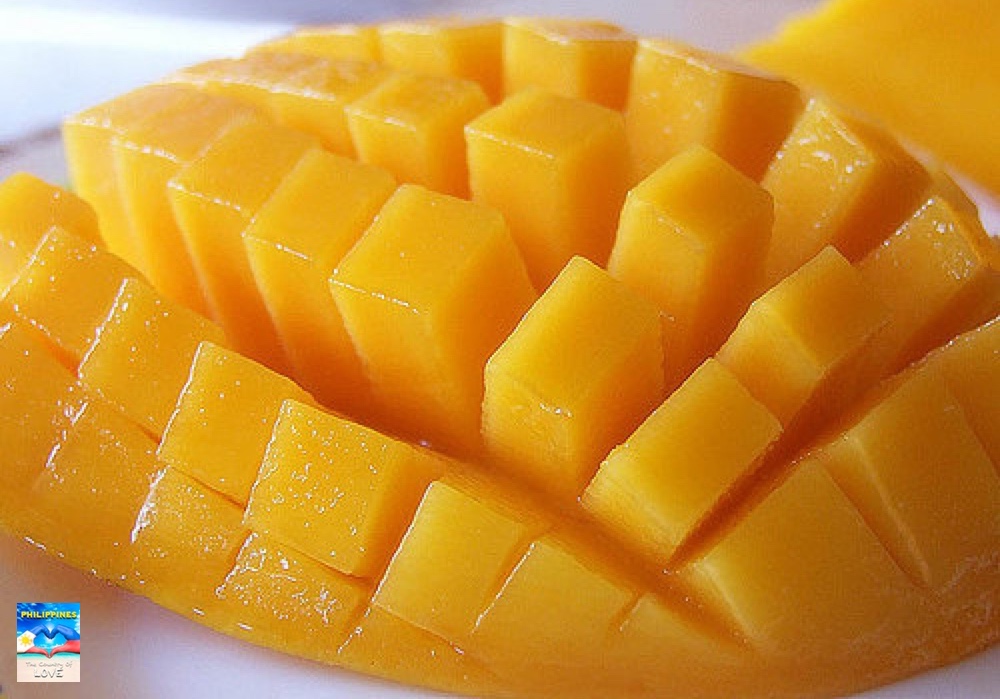 WORLD'S SWEETEST MANGO AND SWEETEST FRUIT PHILIPPINE CARABAO MANGO