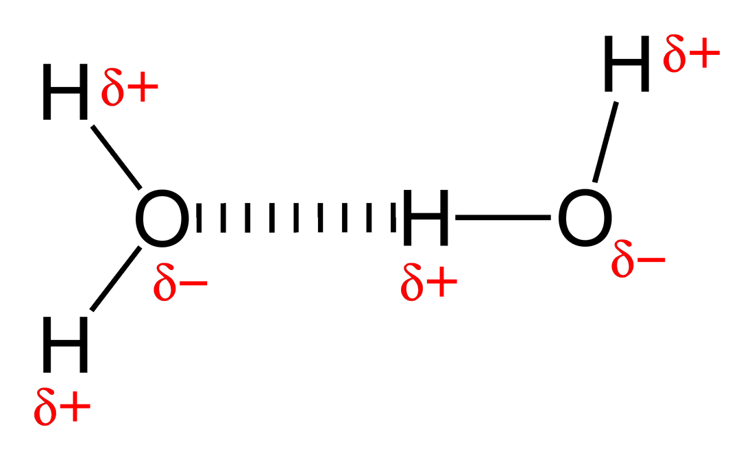 hydrogen bond definition