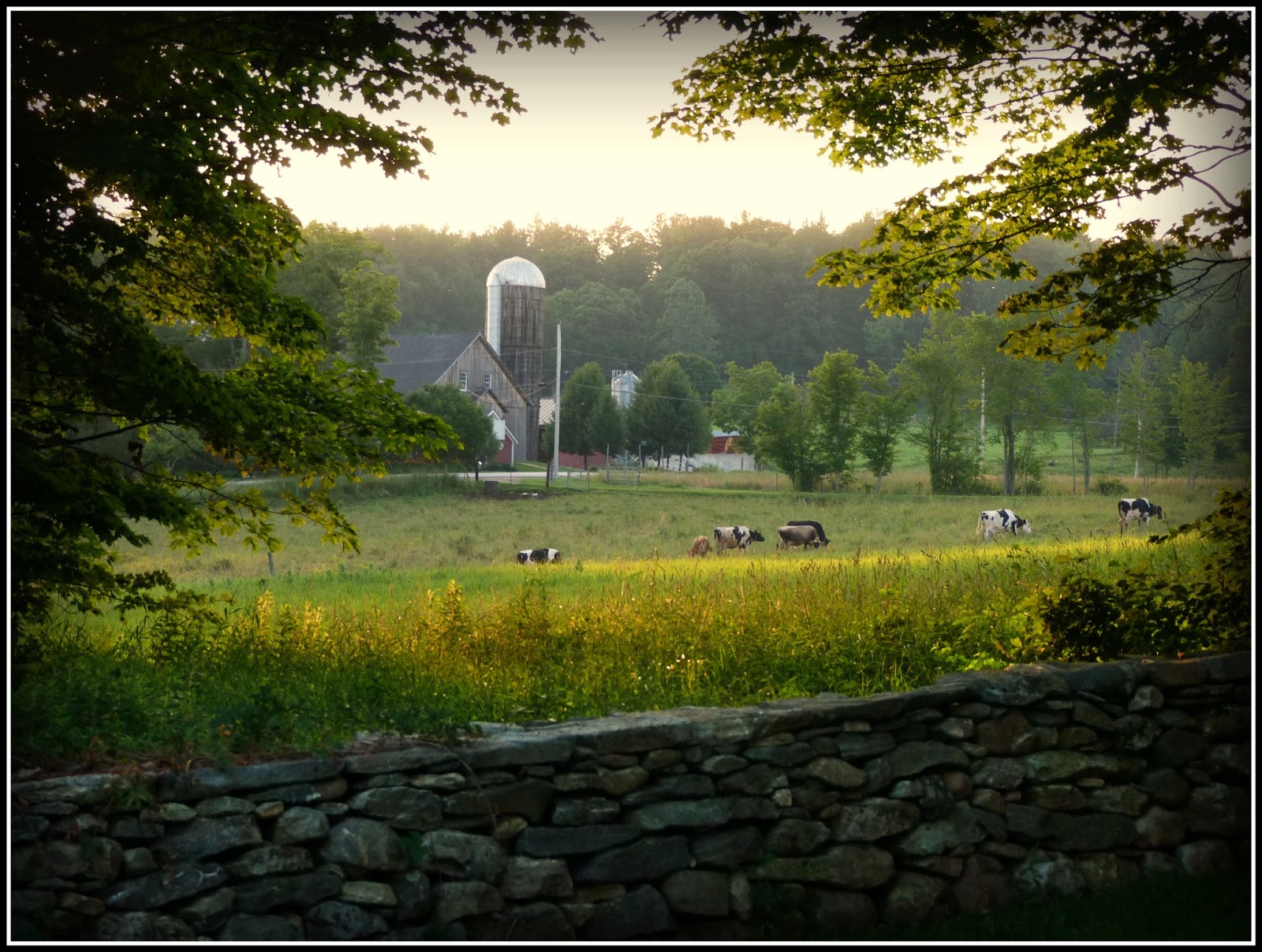 Appetite For Photos Middletown Farm, Londonderry, VT