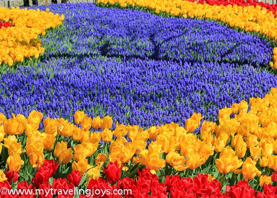 Tulip Time In Istanbul Again My Traveling Joys