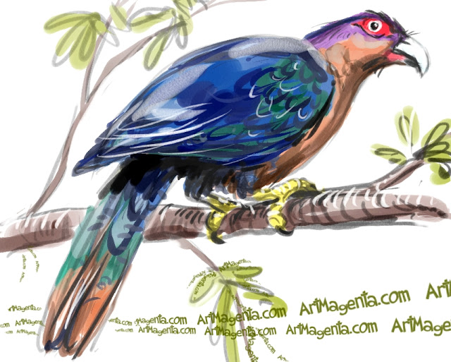 Chestnut-breasted Malkoha sketch painting. Bird art drawing by illustrator Artmagenta