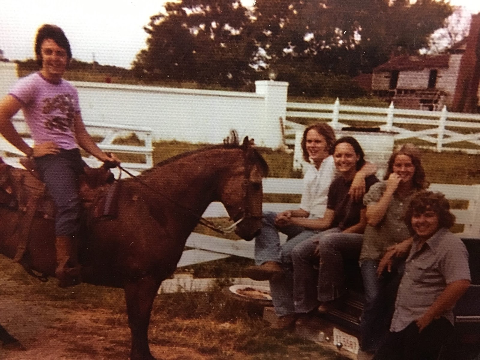 Meet the Beatles for Real Down on Junior's Farm