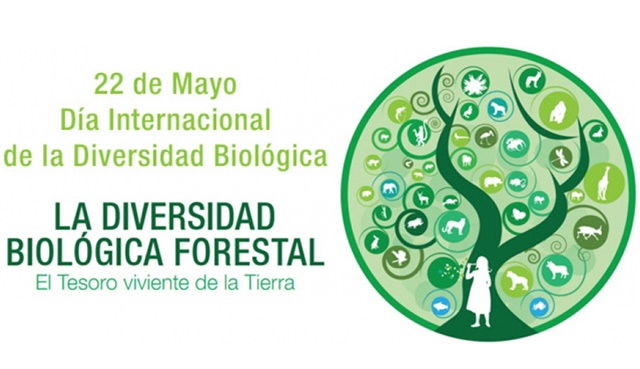 Día Internacional de la Diversidad Biológica (22 de Mayo)