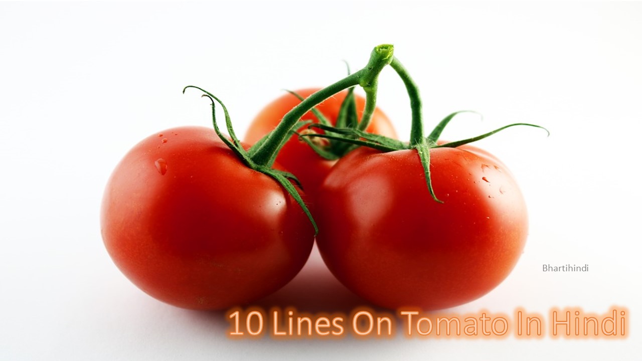10 Lines On Tomato In Hindi टमाटर के बारे में 10 लाइन की जानकारी