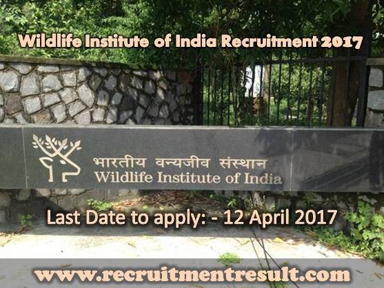 Wildlife Institute of India Recruitment 2017 Wildlife Institute of India Recruitment 2017