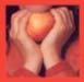 Lisa B_Lisa Bernstein_holding peach