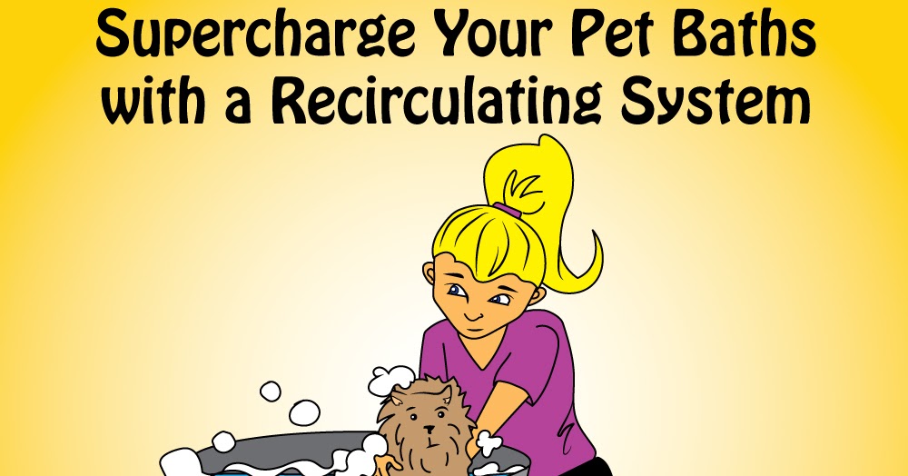 Groomerisms and the Art of Zen Recirculating Systems for Better Pet