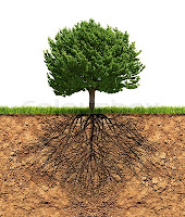 Fuente: https://www.colourbox.com/preview/11556230-big-green-tree-with-roots-beneath.jpg