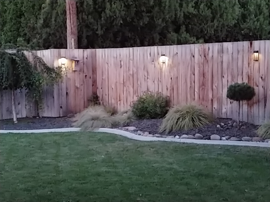 back yard solar lights