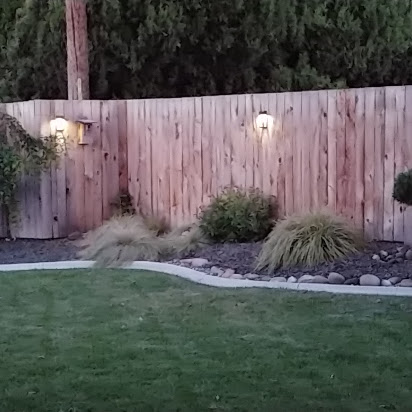 Spruce Up Your Yard With Solar Lighting