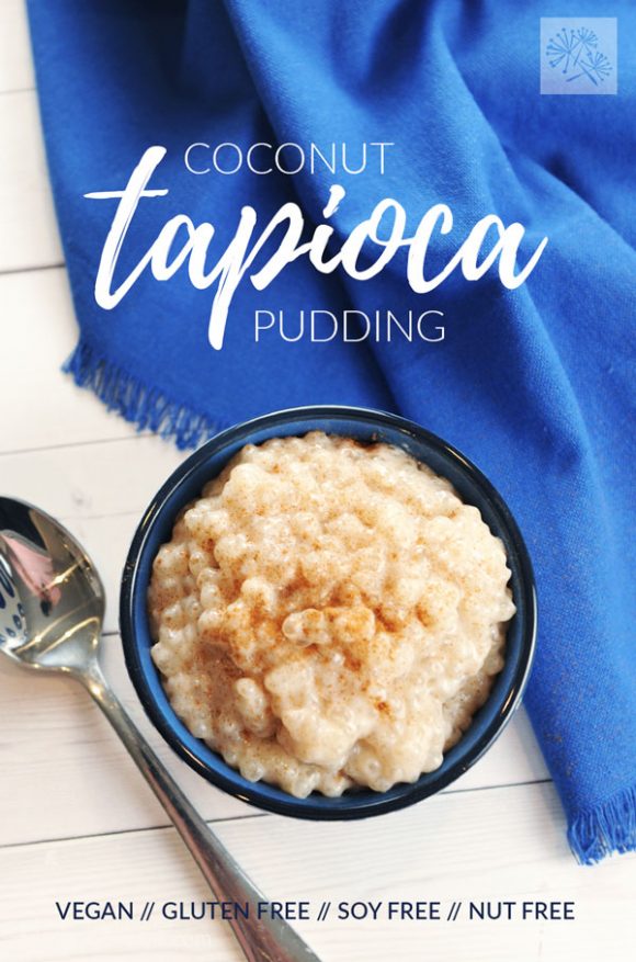 Coconut Tapioca Pudding - Recipes Delicious