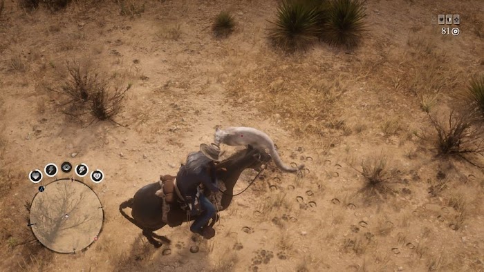 碧血狂殺 2 (Red Dead Redemption 2) 線上模式 雙人兩分鐘速刷美洲獅方法技巧