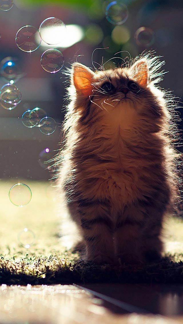 اجمل خلفيات موبايل في العالم hd صور اندرويد 2020 منوعة