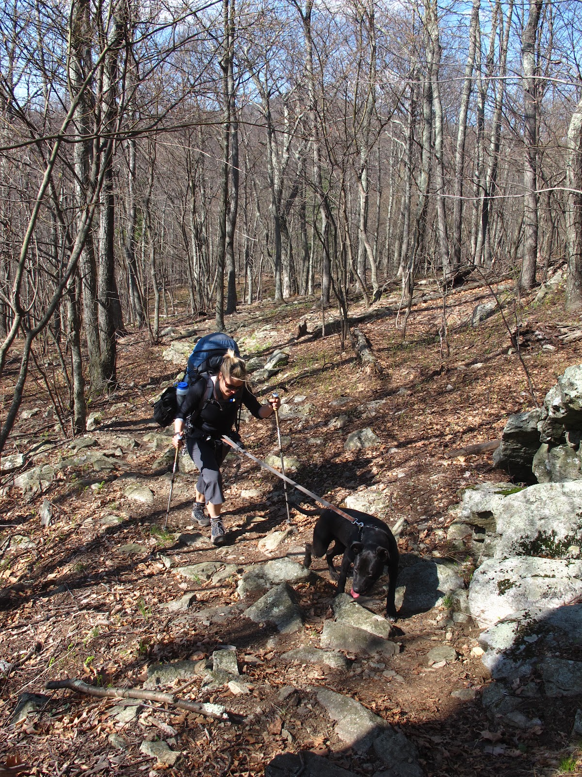 Of Pirates & Prestige Tar Jacket Ridge Washington National Forest