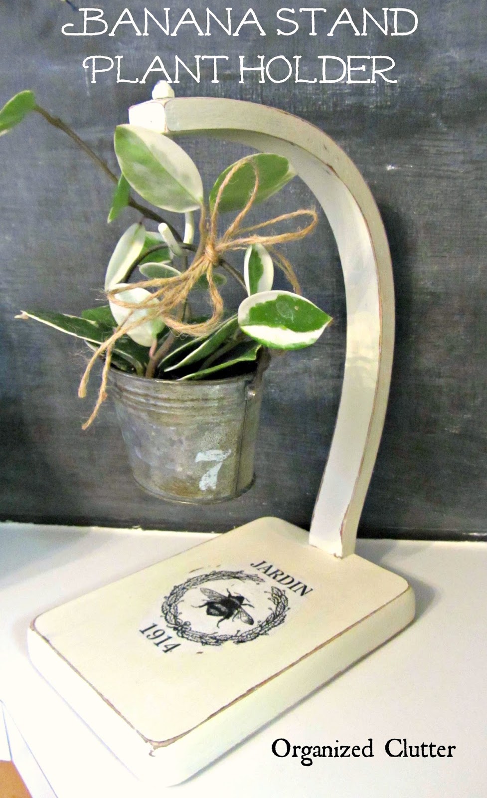 Wax Plant Displayed on Upcycled Banana Stand www.organizedclutterqueen.blogspot.com