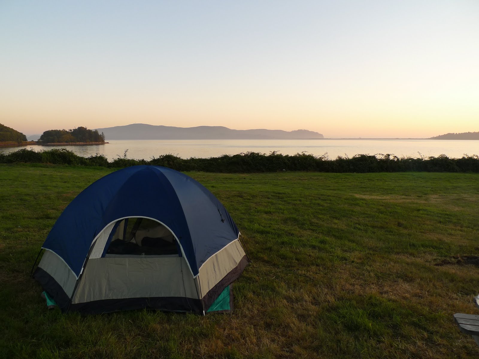 Grilled Artichokes How to Cook Artichokes on the BBQ or Campfire