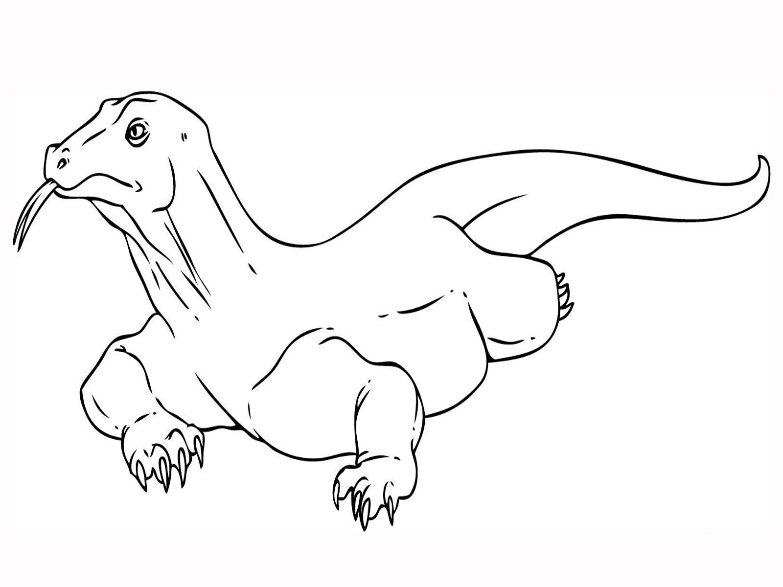 Komodo Dragon Coloring Pages Free Coloring Pages