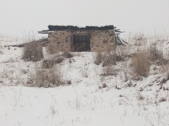 photo by Kathy Vaughan/UltraPedestrian.com