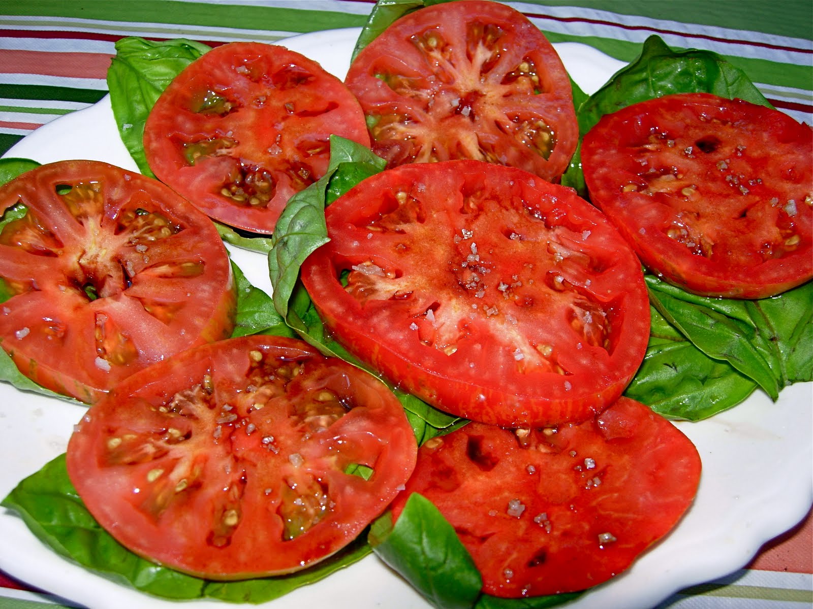 CFSCC presents EAT THIS! Basil & Tomato Appetizer
