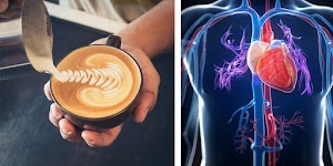 Des choses étonnantes qui arrivent  à votre corps lorsque vous buvez du café tous les jours