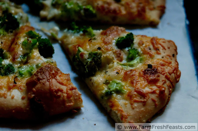photo of broccoli and cheese pizza 
