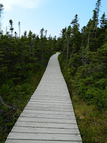 Skyline Trail Cape Breton Highlands National Park Nova Scotia boarded path by garden muses-not another Toronto gardening blog
