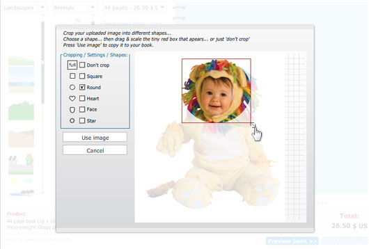 crop_image_tool2.jpg