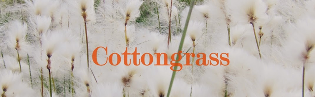 Cottongrass